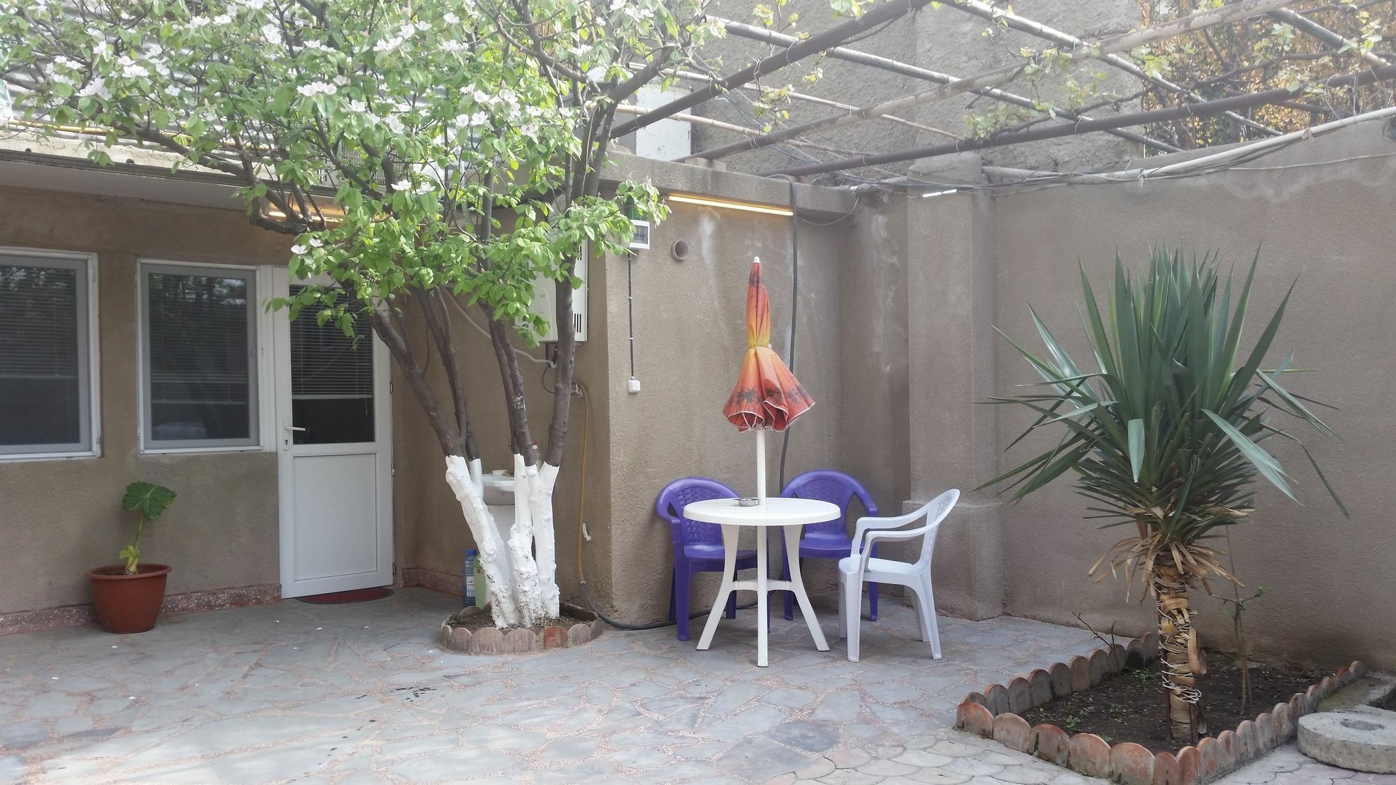 Guest House Spartak 트빌리시 외부 사진